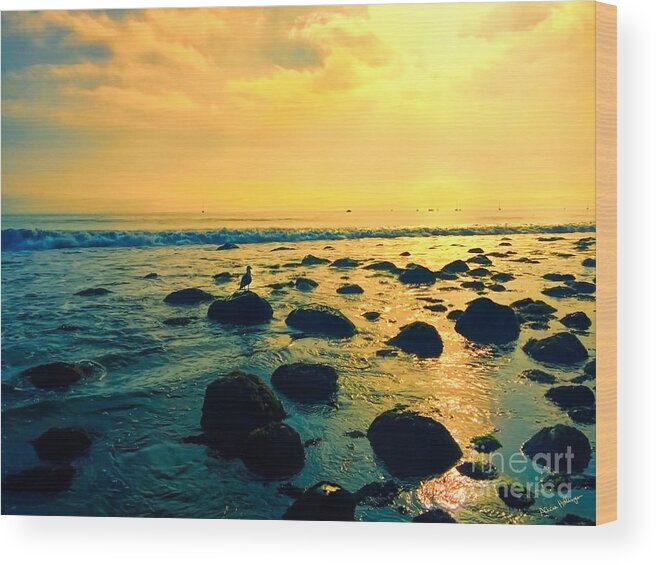 Photo Wood Print featuring the photograph Santa Barbara California Ocean Sunset by Alicia Hollinger