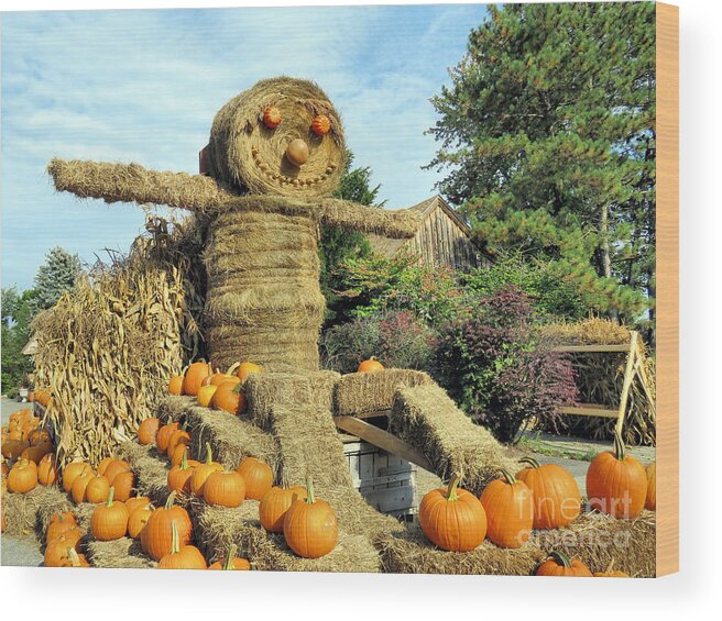 Scarecrow Wood Print featuring the photograph Scarecrow Brookdale Fruit Farm by Janice Drew