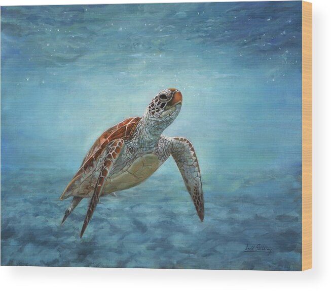 Sea Turtle Wood Print featuring the painting Sea Turtle by David Stribbling