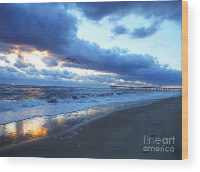 Virginia Beach Wood Print featuring the photograph Seagull At Dawn by Paddy Shaffer