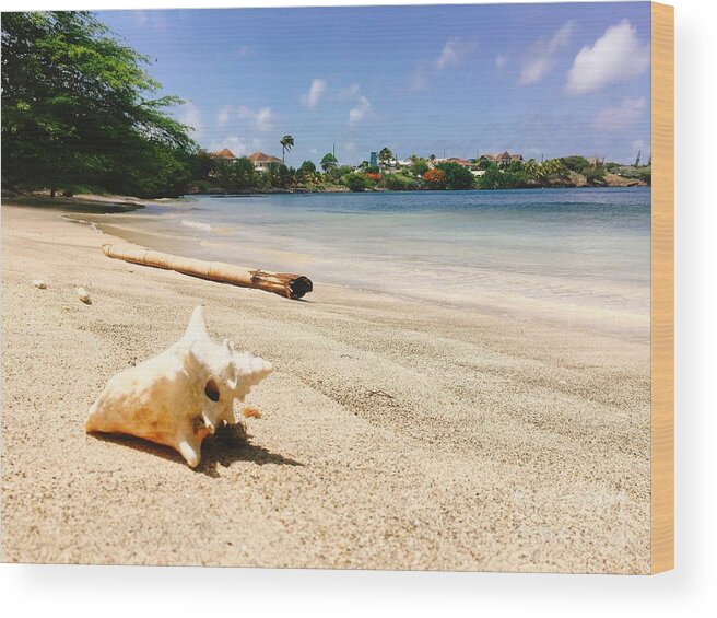 Seashell Wood Print featuring the photograph Seashell on beach by Laura Forde