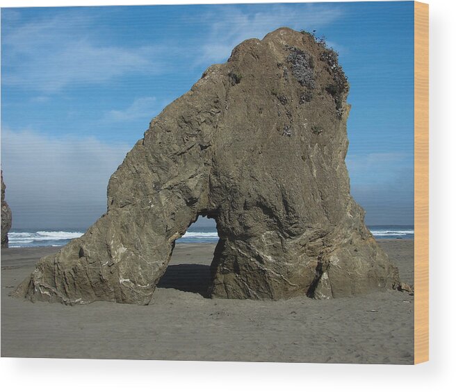 Arch Wood Print featuring the photograph Seaside Arch by Carl Moore