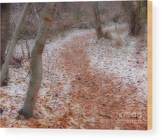 Greenough Park Wood Print featuring the photograph Season's Change by Katie LaSalle-Lowery