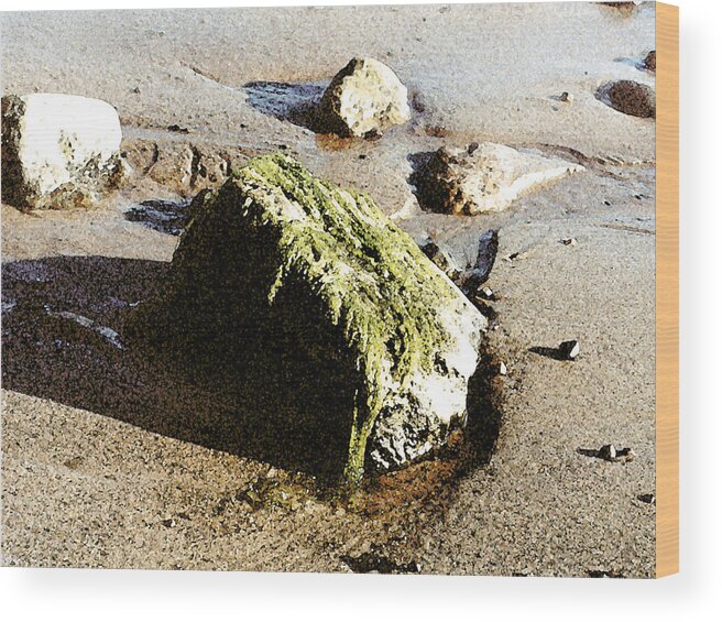 Water Wood Print featuring the painting Seaweed Rock by Paul Sachtleben