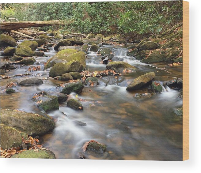 Creek Wood Print featuring the photograph Secluded by Richie Parks