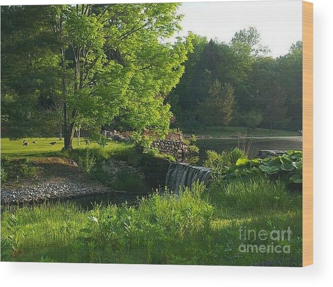 Landscape Wood Print featuring the photograph Serenity by Dani McEvoy