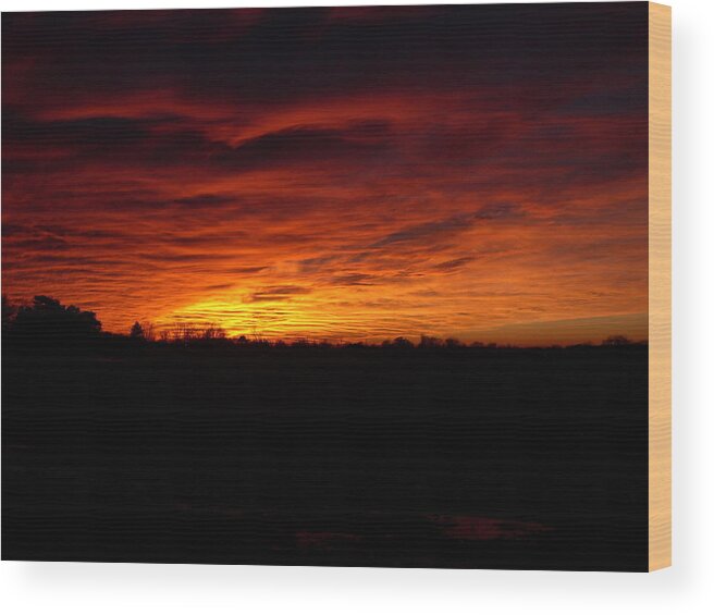 Landscape Wood Print featuring the photograph Set The Sun by Traci Goebel