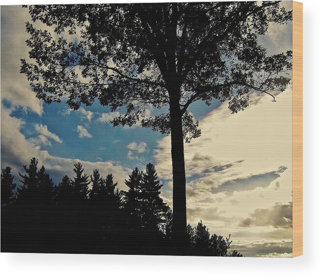 Tree Wood Print featuring the photograph Shelter Me by Elizabeth Tillar