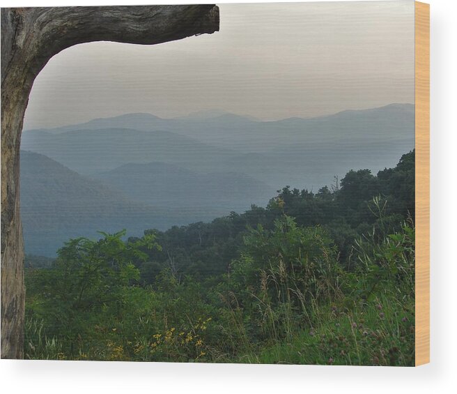 Landscape Wood Print featuring the photograph Shenandoah Valley by Carl Moore