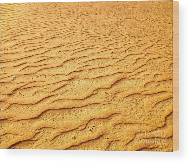 Horizontal Wood Print featuring the photograph Shifting Sands by Barbara Von Pagel
