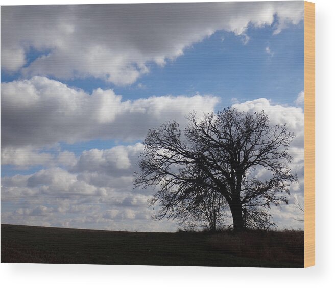 Sky Wood Print featuring the photograph Silhouette by Brooke Bowdren