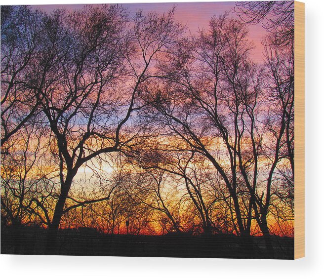 Photograph Wood Print featuring the photograph Silhouette Sunset 43017 by Delynn Addams