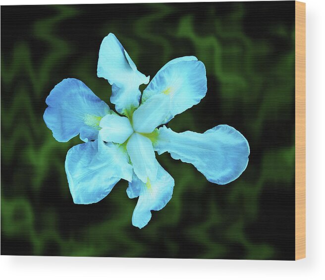 Flower Wood Print featuring the photograph Silk Flower by Mark Blauhoefer