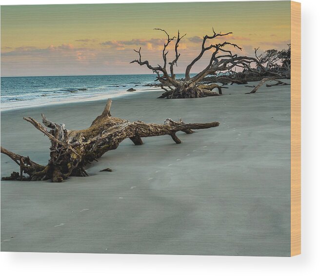 Georgia Wood Print featuring the photograph Sunset on Jekyll Island by Louis Dallara