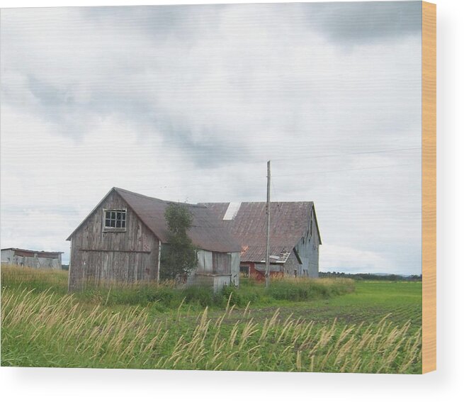 Barn Wood Print featuring the photograph Slipping Away by Jackie Mueller-Jones
