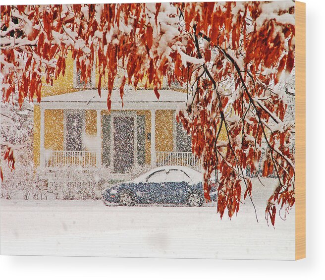 Snow Wood Print featuring the photograph Snow day by Bill Jonscher