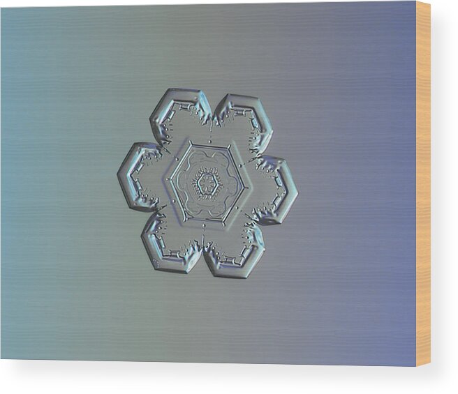 Snowflake Wood Print featuring the photograph Snowflake photo - Flower within a flower by Alexey Kljatov