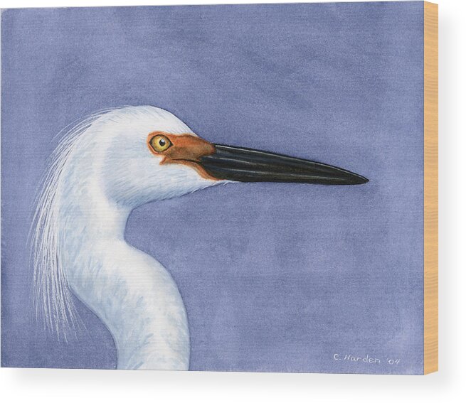 Snowy Wood Print featuring the painting Snowy Egret Portrait by Charles Harden
