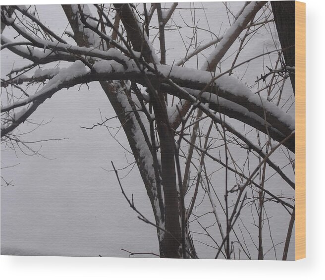 Abstract Wood Print featuring the photograph Snowy Tree II by Anna Villarreal Garbis