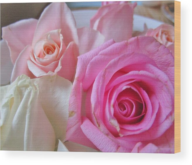 Roses Wood Print featuring the photograph Soft and sweet by Rosita Larsson