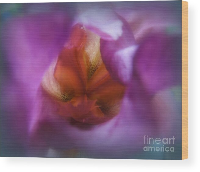 Soft Wood Print featuring the photograph Soft Colors Iris by Renee Trenholm