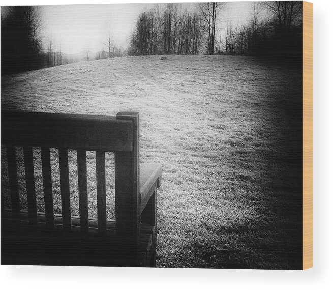 Bench Wood Print featuring the photograph Solitary Bench in Winter by Gary Karlsen