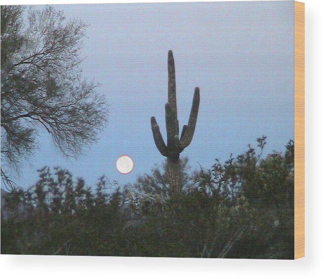 Moon Wood Print featuring the photograph Sonoran Desert Moonset by Judy Kennedy