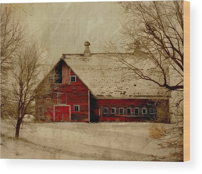 Red Wood Print featuring the digital art South Dakota Barn by Julie Hamilton