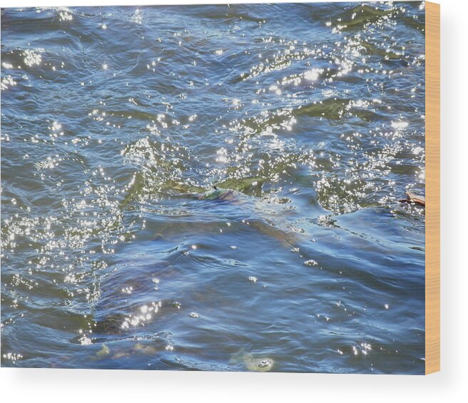 Water Wood Print featuring the photograph Sparkling Waters by Deborah Kunesh