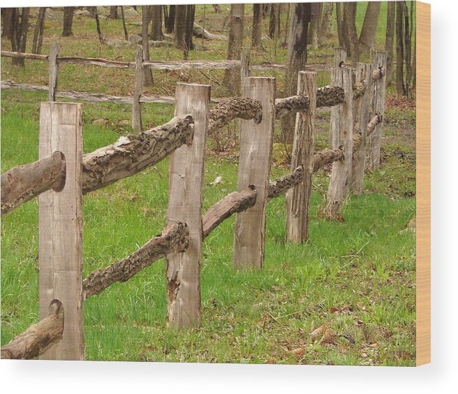 Fence Wood Print featuring the photograph Split rail fence by Penny Neimiller