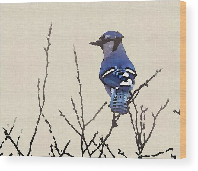 Bird Wood Print featuring the mixed media Spring Blue Jay by Shelli Fitzpatrick