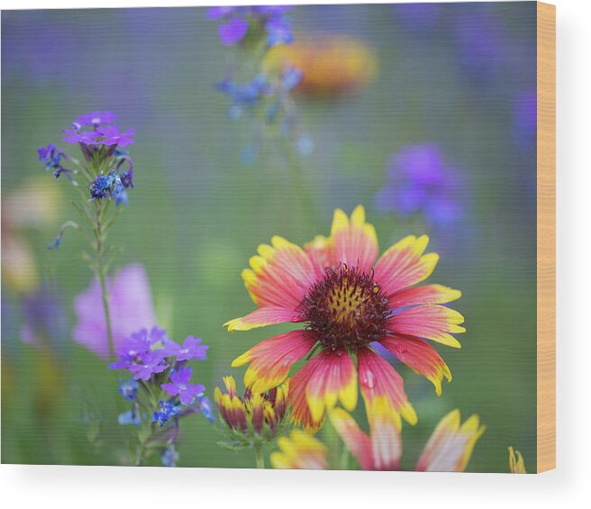 Spring Wood Print featuring the photograph Spring Colors by Sue Cullumber