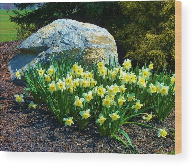 Flowers Wood Print featuring the photograph Spring Rock Garden by Jeanette Oberholtzer