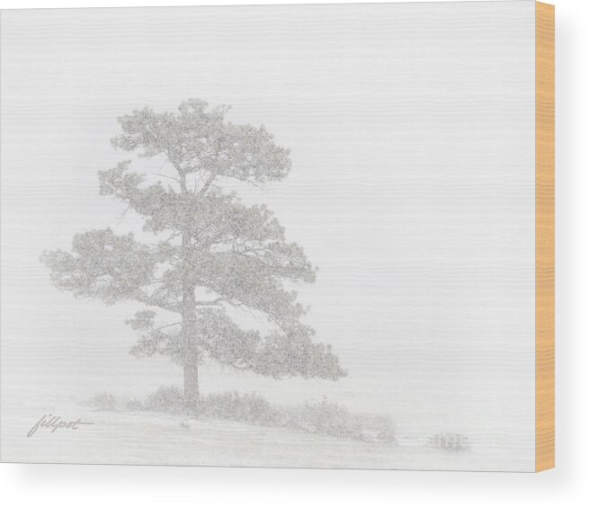 Spring Snow Wood Print featuring the photograph Spring Snow in the Rockies by Bon and Jim Fillpot