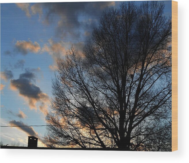 Photography Wood Print featuring the digital art Springfield Evening 2013-02-14 by Jeff Iverson