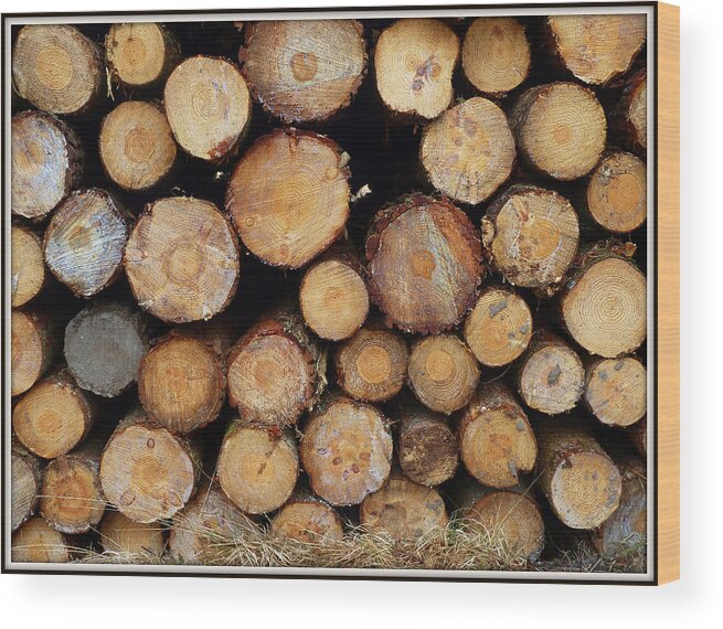 Logs.trees.woodpile.timber Wood Print featuring the photograph Stacked Timber Two by Gordon James