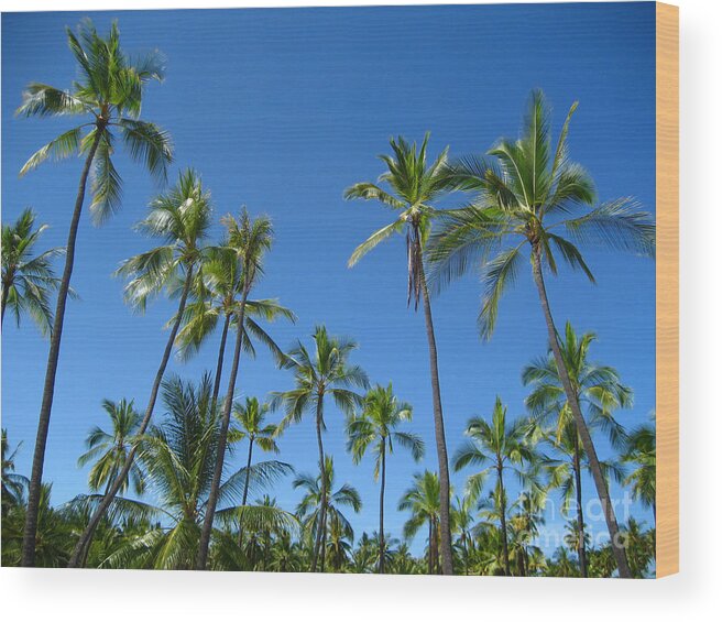 Palm Wood Print featuring the photograph Stand of Palms by Brian Governale