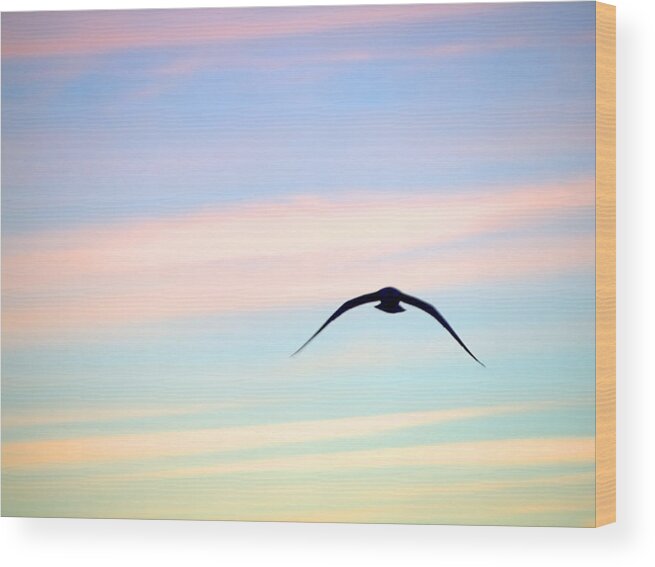 Gull Wood Print featuring the photograph Stealth by Newwwman