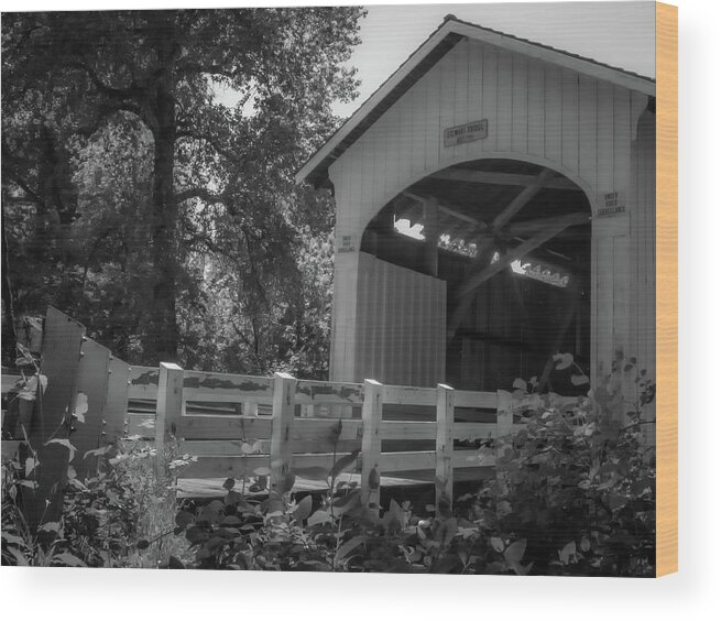 Beautiful Wood Print featuring the photograph Stewart Bridge by Michele James