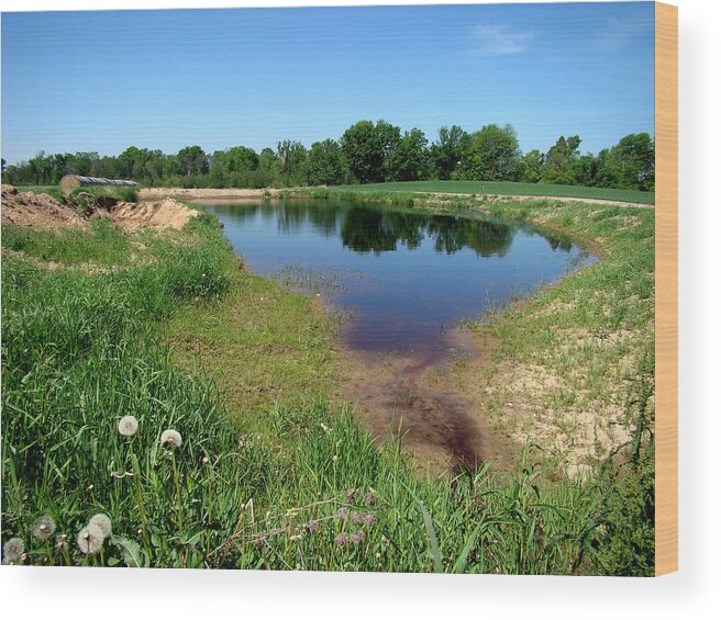 Landscape Wood Print featuring the photograph Still Pond Reflections by Todd Zabel