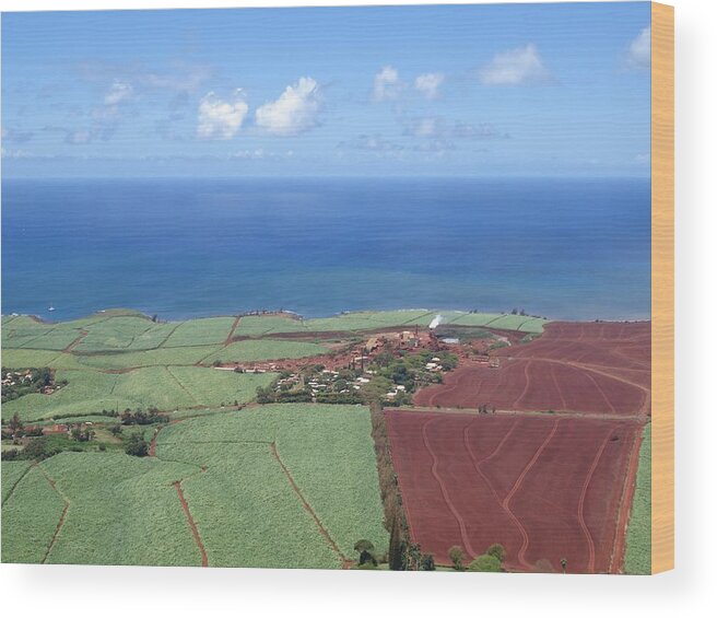 Landscape Wood Print featuring the photograph Sugar Plantation by Richard Deurer