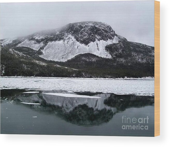 Sugarloaf Wood Print featuring the photograph Sugarloaf Hill Reflections in Winter by Barbara A Griffin