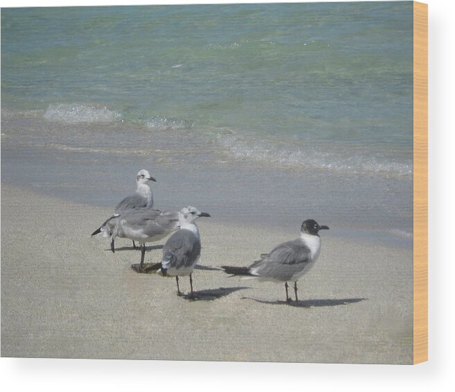 Photography Wood Print featuring the photograph Summer on the beach by John Powell