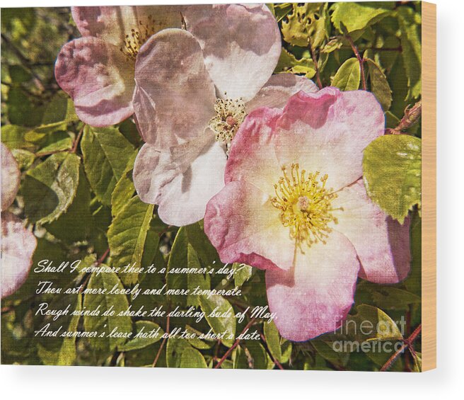 Rose Wood Print featuring the photograph Summers Lease by Brenda Kean