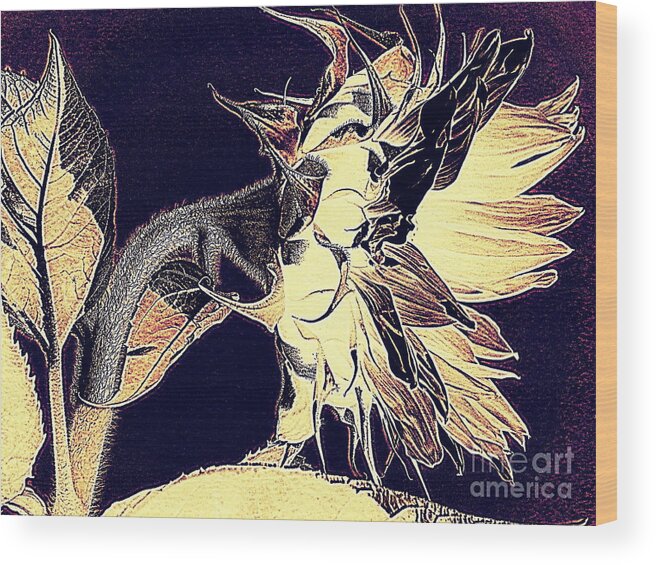 Sunflower Wood Print featuring the photograph Sunflower - Tribal Harvest by Janine Riley