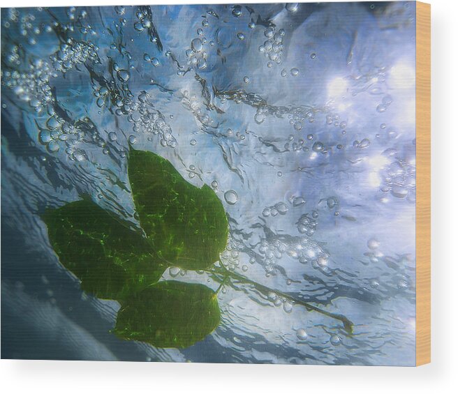 Sun Wood Print featuring the photograph SunLeaf No.2 by Tammy Wetzel