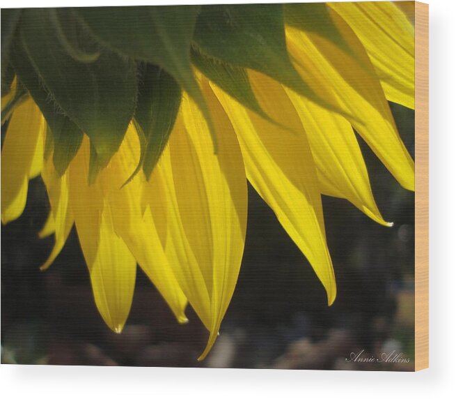 Sunny Wood Print featuring the photograph Sunny by Annie Adkins