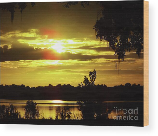 Sunrise Wood Print featuring the photograph Sunrise At The Lake by D Hackett