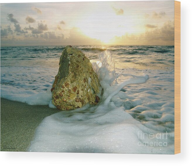 Aqua Wood Print featuring the photograph Sunrise Seascape Wisdom Beach Florida C4 by Ricardos Creations
