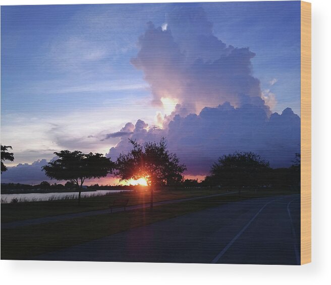 Landscape Photography Wood Print featuring the photograph Sunset At The Park in Miami Florida by Patricia Awapara